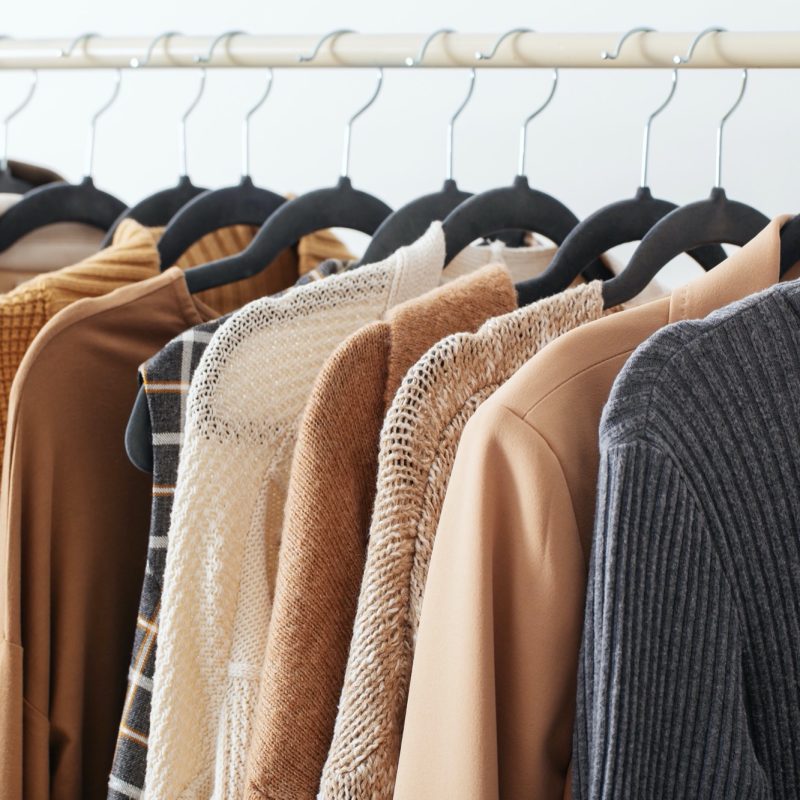 female autumn clothes on hangers  in  white room